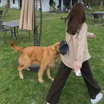 人生一串第二季